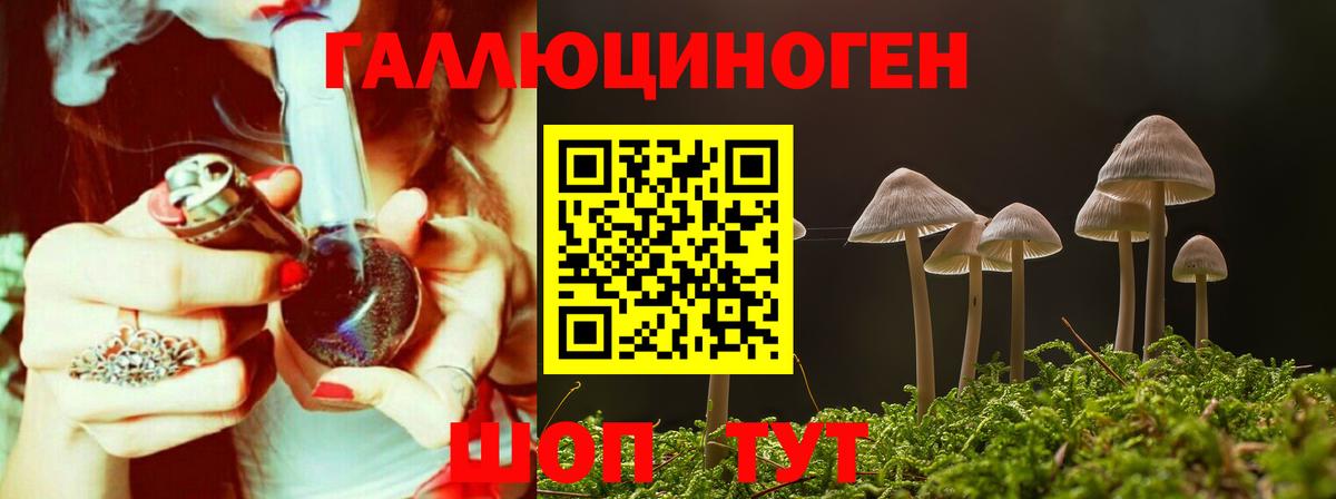 Галлюциногенные грибы прущие грибы Минеральные Воды
